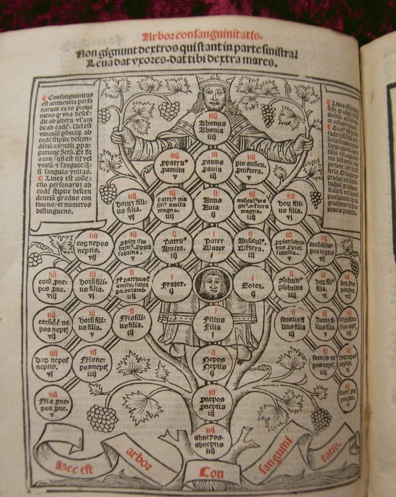 Decretales epistole supremi ortodoxe eclesie principis Gregorii Noni multis mendis – 1533