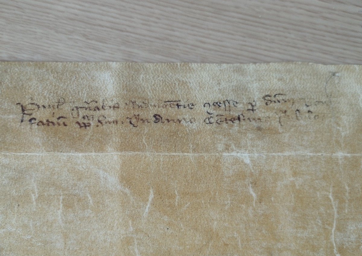 Bula ”Antiquorum habet fida relatio” – Bonifacio VIII – 22 febrero 1300 – Facsimil
