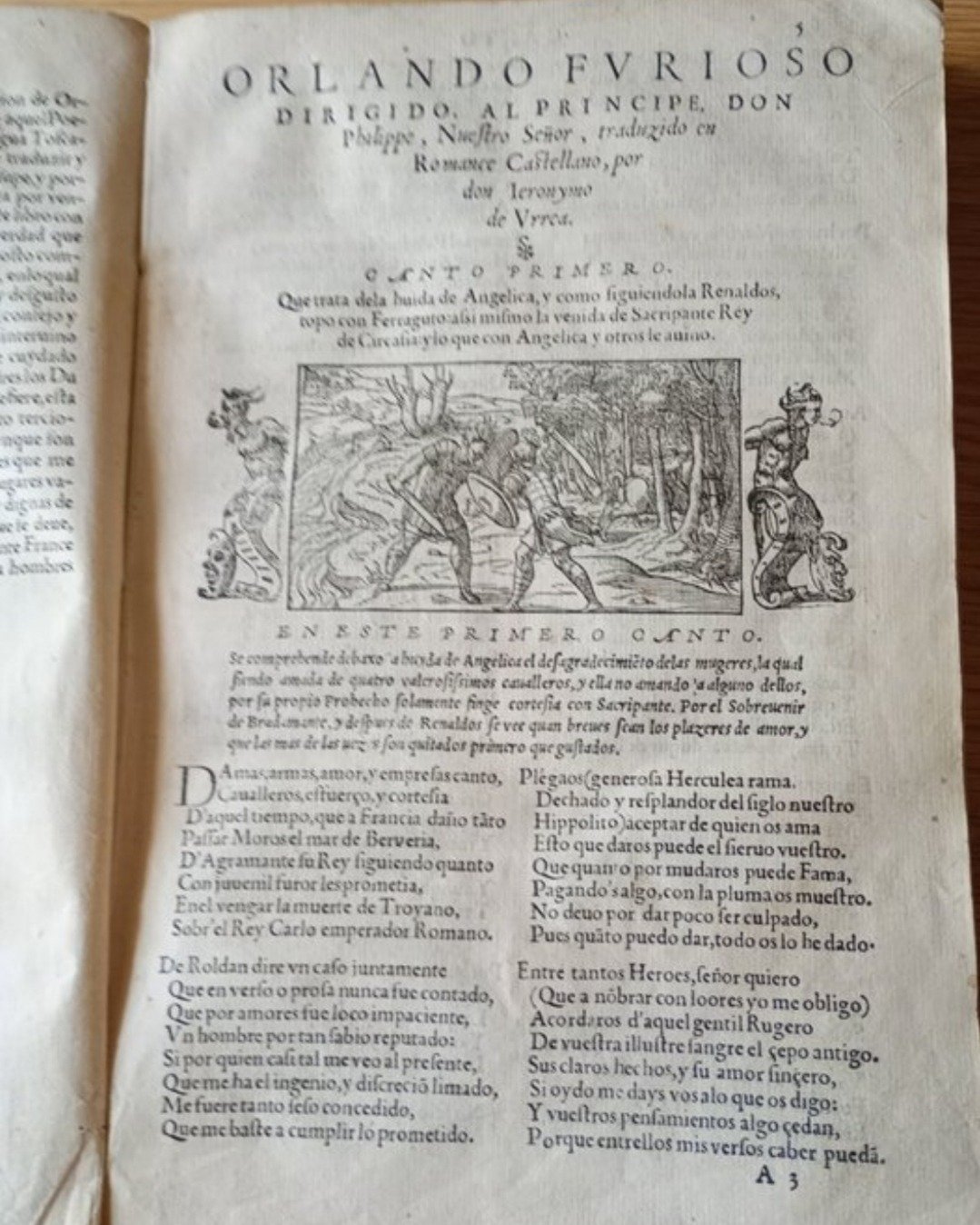 Orlando Furioso 1550 - foto 11